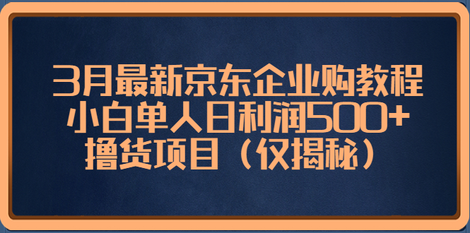 （5277期）3月最新京东企业购教程，小白单人日利润500+撸货项目（仅揭秘）-飓风网创资源站