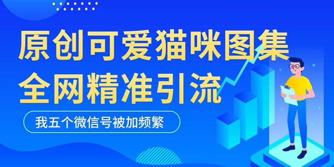 （5498期）黑科技纯原创可爱猫咪图片，全网精准引流，实操5个VX号被加频繁-飓风网创资源站