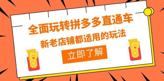 （6294期）全面玩转拼多多直通车，新老店铺都适用的玩法（12节精华课）-飓风网创资源站