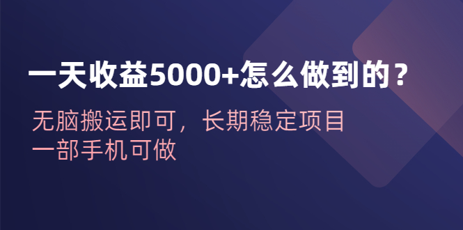 （6435期）一天收益5000+怎么做到的？无脑搬运即可，长期稳定项目，一部手机可做-飓风网创资源站