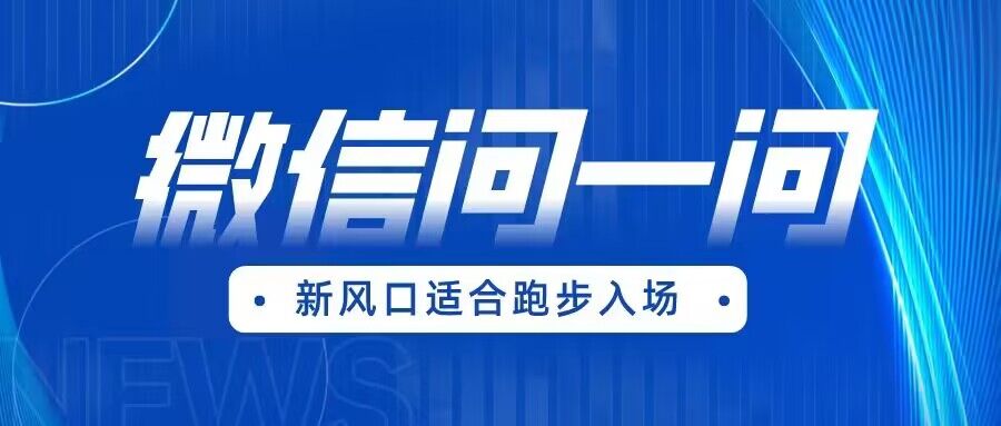 全网首发微信问一问新风口变现项目（价值1999元）-飓风网创资源站