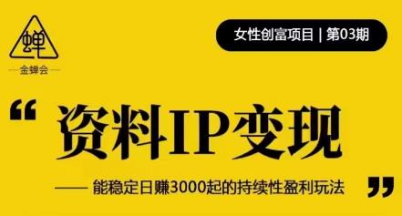 资料IP变现，能稳定日赚3000起的持续性盈利玩法-飓风网创资源站