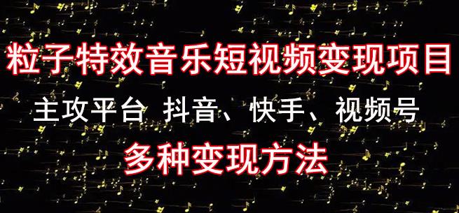 黄岛主《粒子特效音乐短视频变现项目》主攻平台抖音、快手、视频号多种变现方法-飓风网创资源站