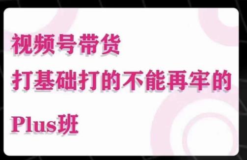 大播汇·视频号带货Puls班，视频号底层逻辑，起号自然流鱼塘等玩法-飓风网创资源站