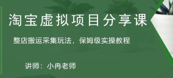 淘宝虚拟整店搬运采集玩法分享课：整店搬运采集玩法，保姆级实操教程-飓风网创资源站