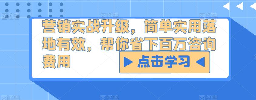 营销实战升级，简单实用落地有效，帮你省下百万咨询费用-飓风网创资源站