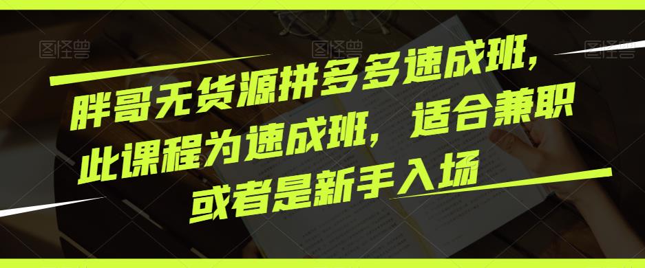 胖哥无货源拼多多速成班，此课程为速成班，适合兼职或者是新手入场-飓风网创资源站