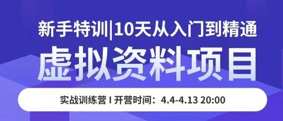 虚拟资料项目新手特训，10天从入门到精通，保姆级实操教学-飓风网创资源站