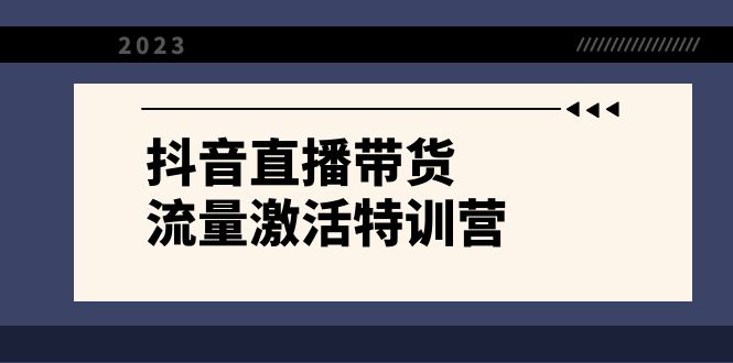 （8185期）抖音直播带货-流量激活特训营，入行新手小白主播必学（21节课+资料）-飓风网创资源站