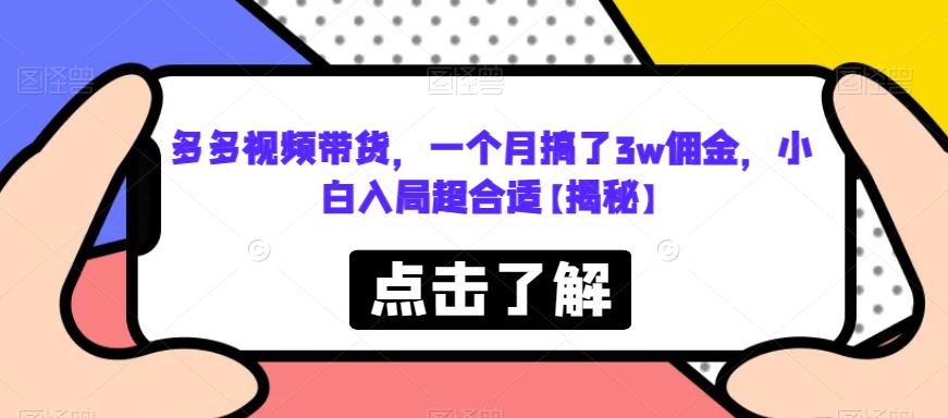 多多视频带货，一个月搞了3w佣金，小白入局超合适【揭秘】-飓风网创资源站