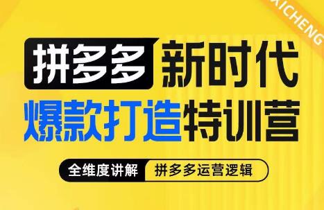 玺承·拼多多新时代爆款打造特训营，全维度讲解拼多多运营逻辑-飓风网创资源站