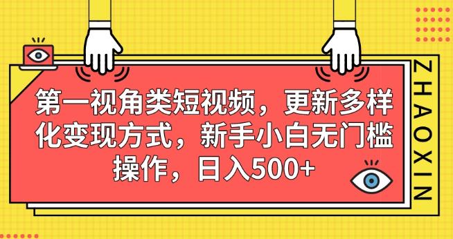 第一视角类短视频，更新多样化变现方式，新手小白无门槛操作，日入500+【揭秘】-飓风网创资源站