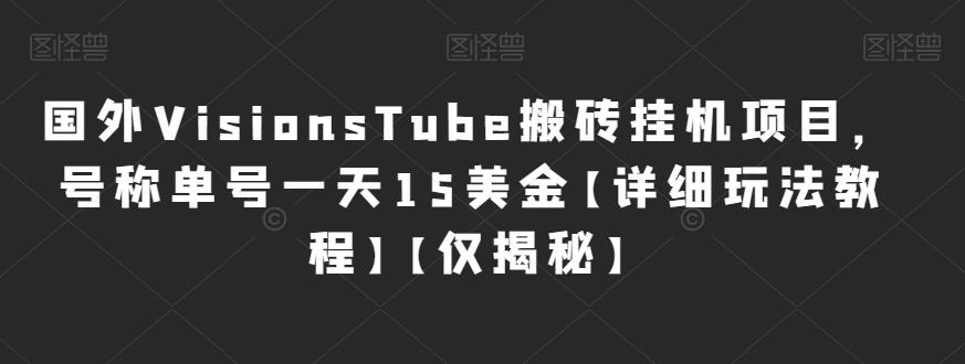 国外VisionsTube搬砖挂机项目，号称单号一天15美金【详细玩法教程】【仅揭秘】-飓风网创资源站