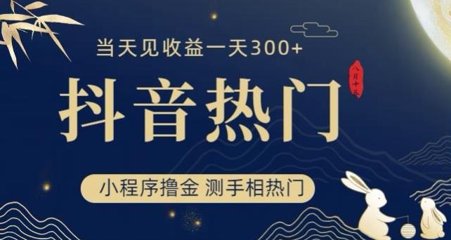 抖音最新小程序撸金，测手相上热门，当天见收益一小时变现300+【揭秘】-飓风网创资源站