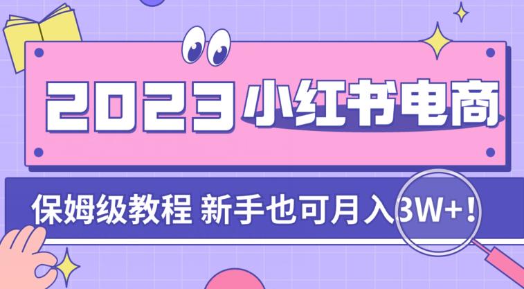 阿本小红书电商陪跑营4.0，带大家从0到1把小红书做起来-飓风网创资源站