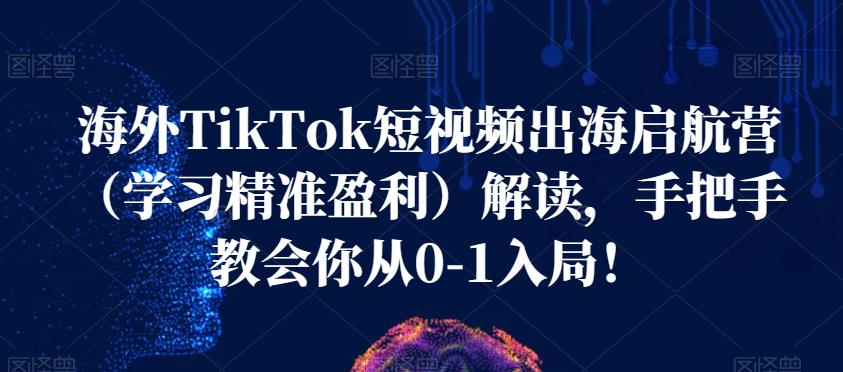 海外TikTok短视频出海启航营（学习精准盈利）解读，手把手教会你从0-1入局！-飓风网创资源站