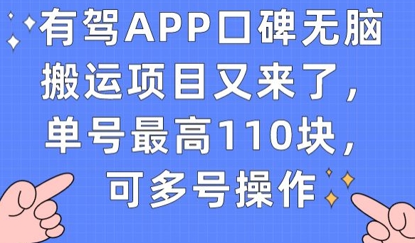 有驾APP口碑无脑搬运项目又来了，单号最高110块，可多号操作-飓风网创资源站