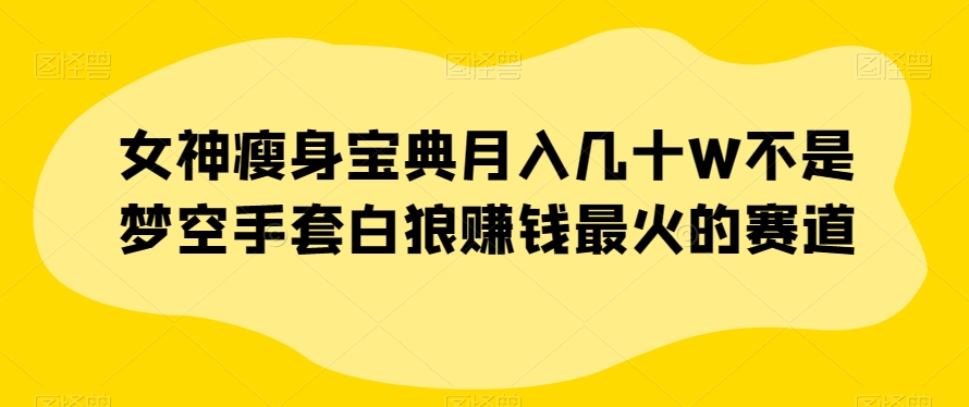 女神瘦身宝典月入几十W不是梦空手套白狼赚钱最火的赛道【揭秘】-飓风网创资源站