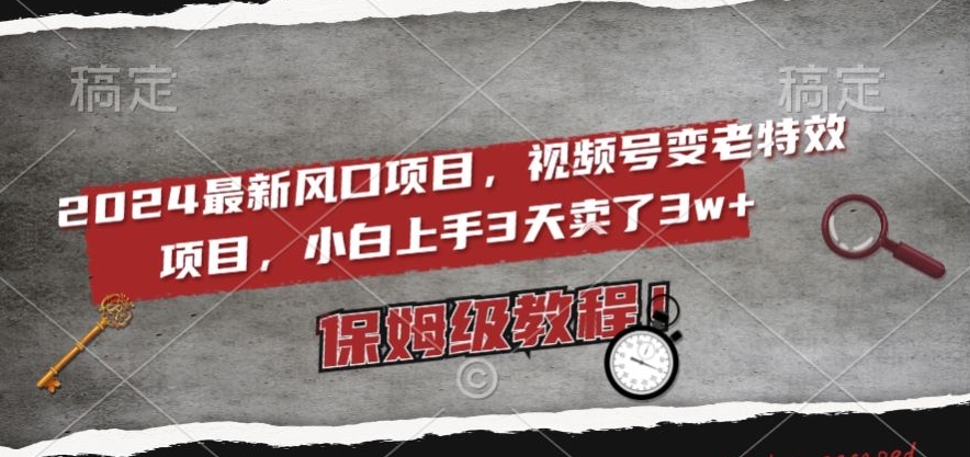 2024最新风口项目，视频号变老特效项目，电脑小白上手3天卖了3w+，保姆级教程【揭秘】-飓风网创资源站