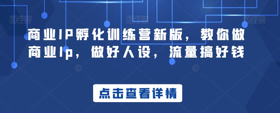 商业IP孵化训练营新版，教你做商业Ip，做好人设，流量搞好钱-飓风网创资源站