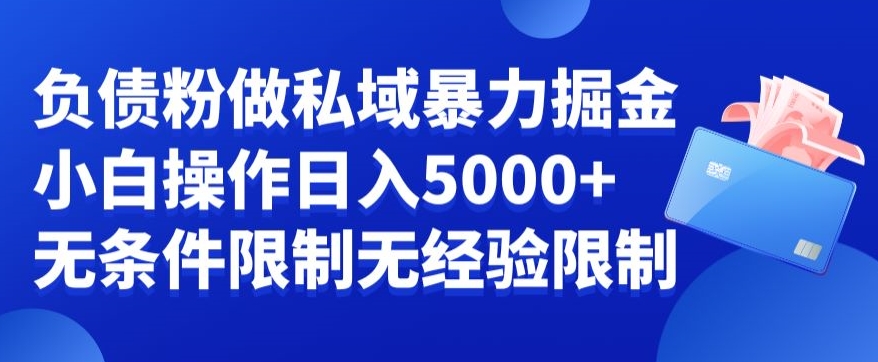 负债粉私域暴力掘金，小白操作入5000，无经验限制，无条件限制-飓风网创资源站