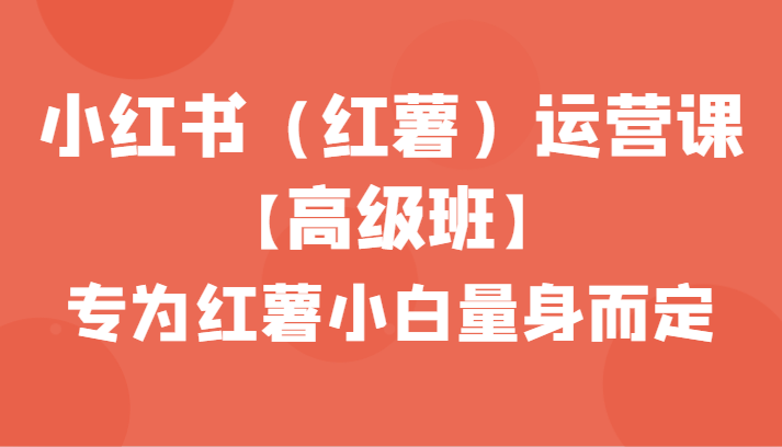 小红书（红薯）运营课【高级班】，专为红薯小白量身而定（42节课）-飓风网创资源站