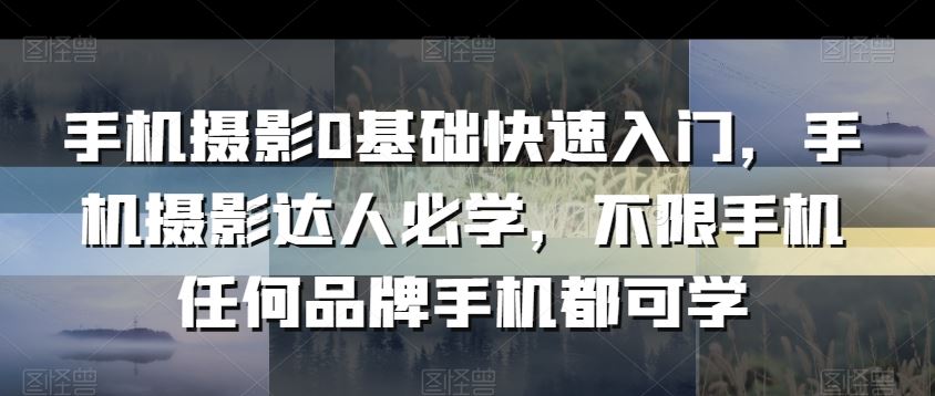 手机摄影0基础快速入门，手机摄影达人必学，不限手机任何品牌手机都可学-飓风网创资源站