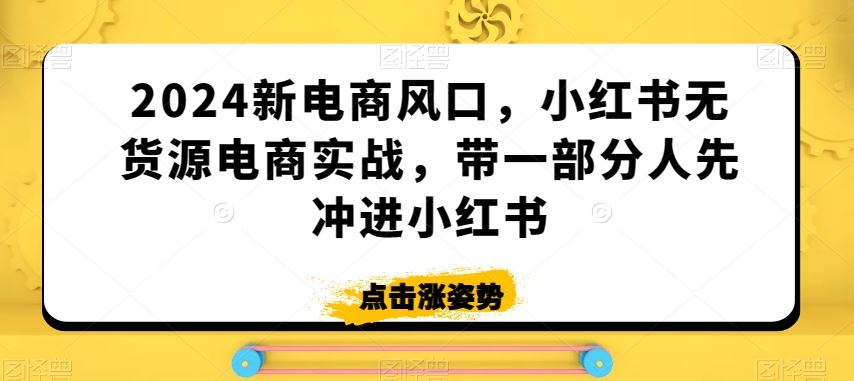 2024新电商风口，小红书无货源电商实战，带一部分人先冲进小红书-飓风网创资源站