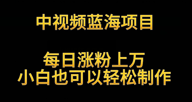 中视频蓝海项目，解读英雄人物生平，每日涨粉上万，小白也可以轻松制作，月入过万不是梦-飓风网创资源站