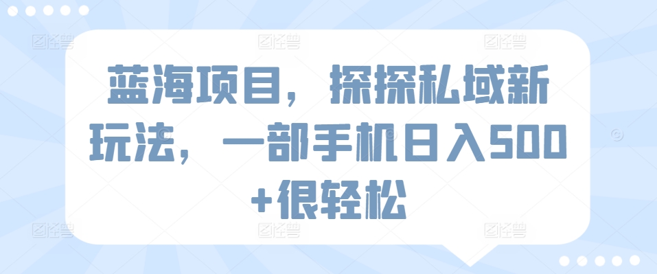 蓝海项目，探探私域新玩法，一部手机日入500+很轻松-飓风网创资源站