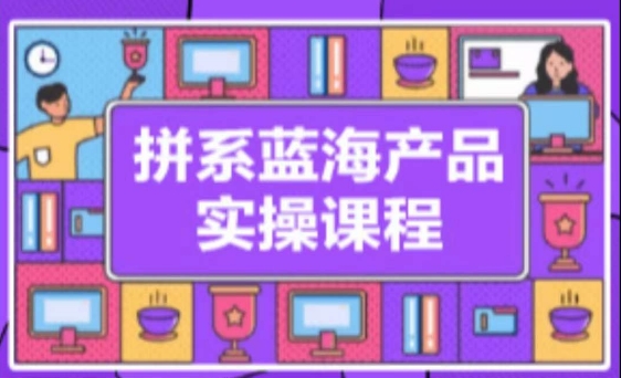 拼系冷门蓝海产品实操课程，从注册店铺到选品上架到流量维护环环相扣-飓风网创资源站