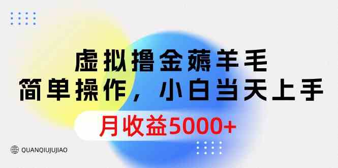 （9864期）虚拟撸金薅羊毛，简单操作，小白当天上手，月收益5000+-飓风网创资源站