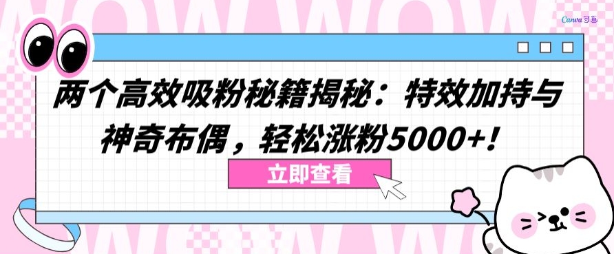 两个高效吸粉秘籍揭秘：特效加持与神奇布偶，轻松涨粉5000+-飓风网创资源站