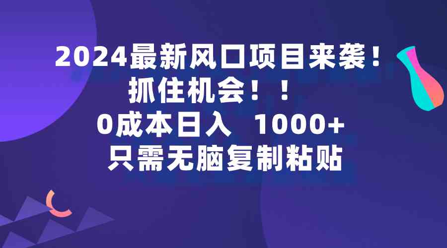 （9899期）2024最新风口项目来袭，抓住机会，0成本一部手机日入1000+，只需无脑复…-飓风网创资源站