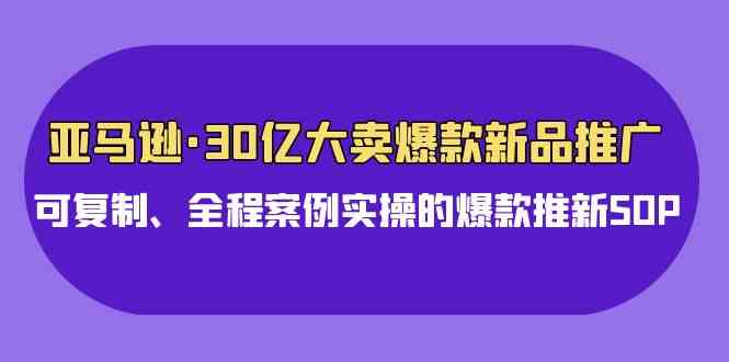 （9944期）亚马逊30亿·大卖爆款新品推广，可复制、全程案例实操的爆款推新SOP-飓风网创资源站