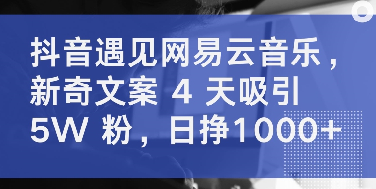 抖音遇见网易云音乐，新奇文案 4 天吸引 5W 粉，日挣1000+-飓风网创资源站