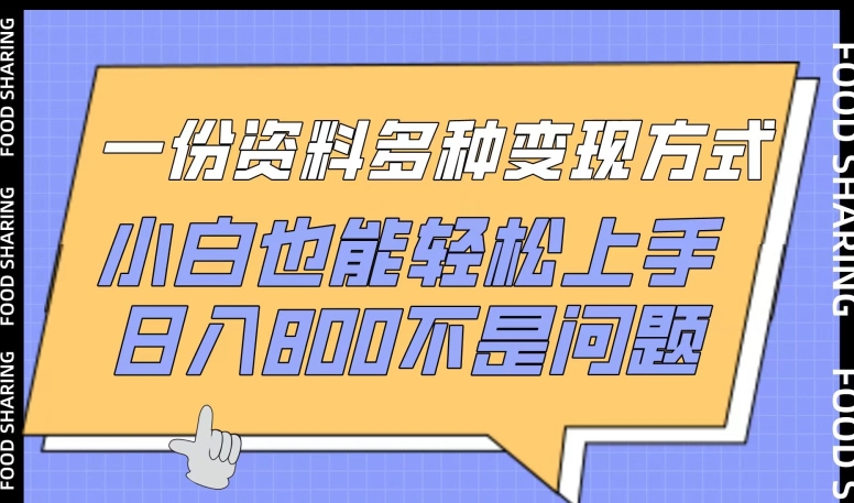 一份资料多种变现方式，小白也能轻松上手，日入800不是问题-飓风网创资源站