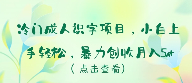 冷门成人识字项目，小白上手轻松，暴力创收月入5w+-飓风网创资源站