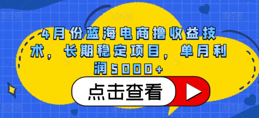 4月份蓝海电商撸收益技术，长期稳定项目，单月利润5000+-飓风网创资源站