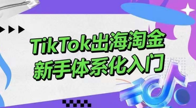 TikTok出海淘金，新手体系化入门，零基础快速入门，掌握短视频、直播带货等引流到变现的知识-飓风网创资源站