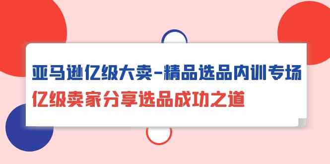 （10034期）亚马逊亿级大卖-精品选品内训专场，亿级卖家分享选品成功之道-飓风网创资源站