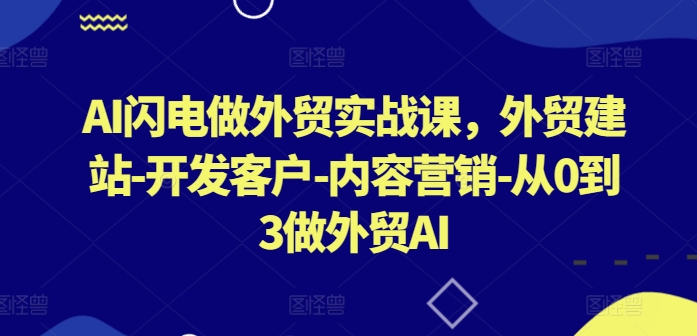 AI闪电做外贸实战课，​外贸建站-开发客户-内容营销-从0到3做外贸AI-飓风网创资源站