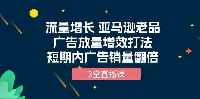 流量增长 亚马逊老品广告放量增效打法，短期内广告销量翻倍（3堂直播课）-飓风网创资源站