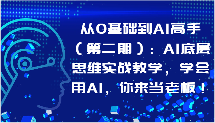 从0基础到AI高手（第二期）：AI底层思维实战教学，学会用AI，你来当老板！-飓风网创资源站