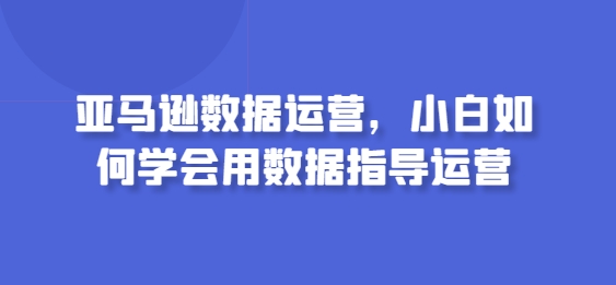 亚马逊数据运营，小白如何学会用数据指导运营-飓风网创资源站