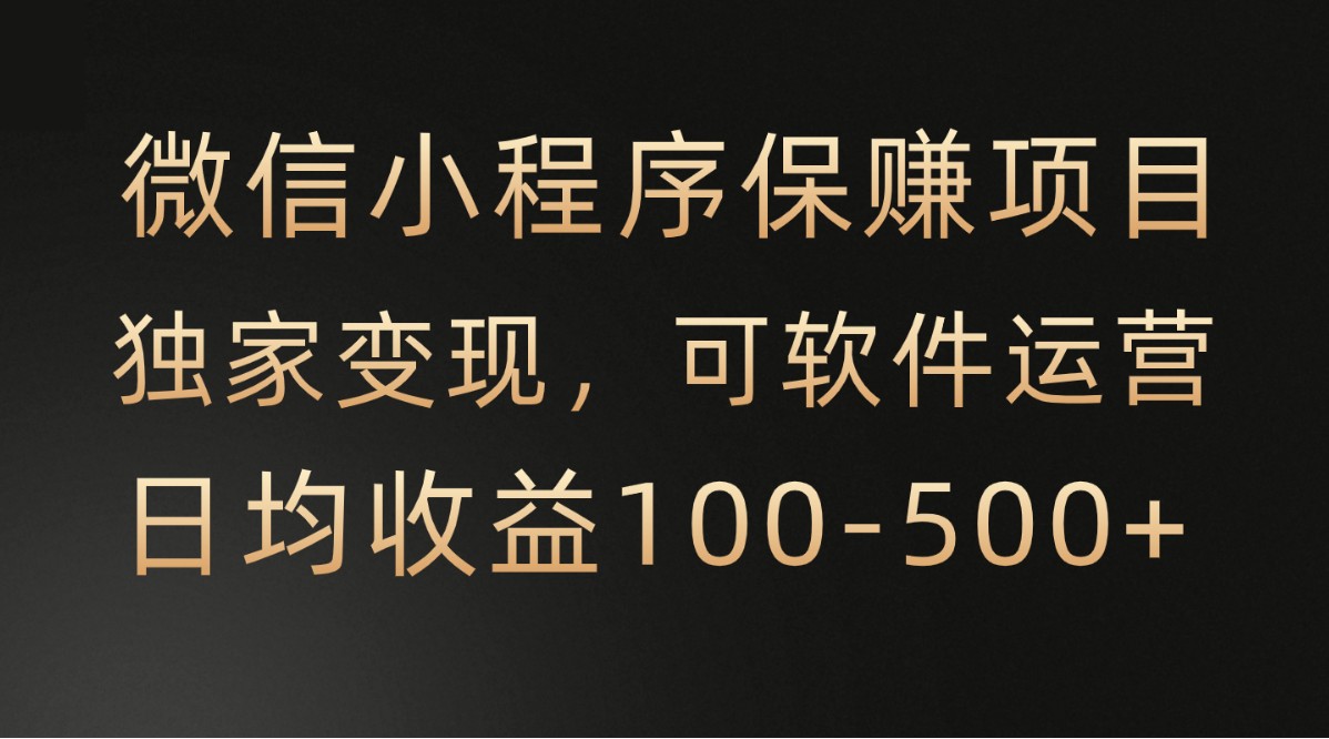 微信小程序，腾讯保赚项目，可软件自动运营，日均100-500+收益有保障-飓风网创资源站