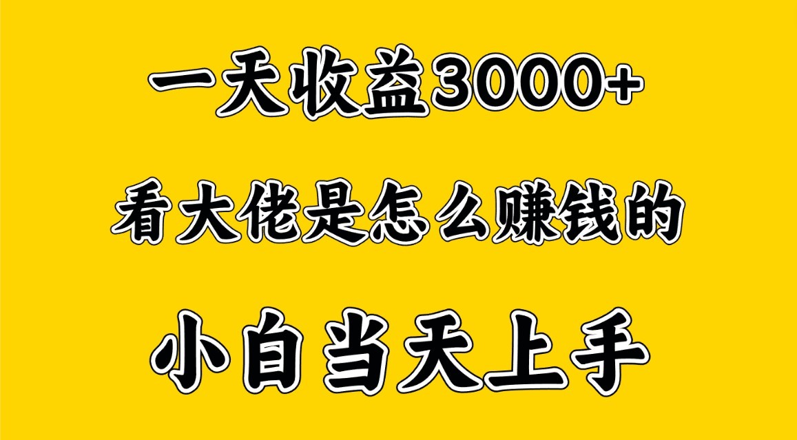 一天赚3000多，大佬是这样赚到钱的，小白当天上手，穷人翻身项目-飓风网创资源站