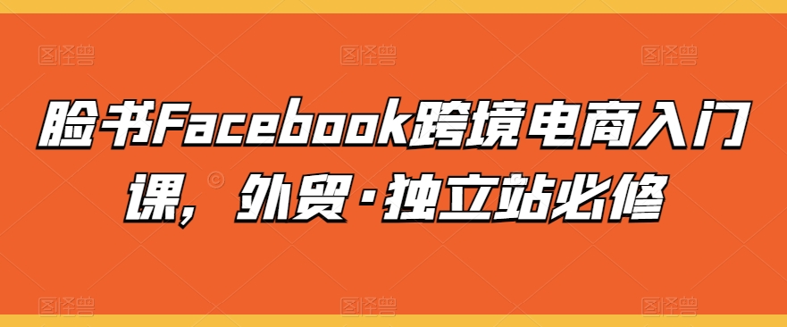 脸书Facebook跨境电商入门课，外贸·独立站必修-飓风网创资源站