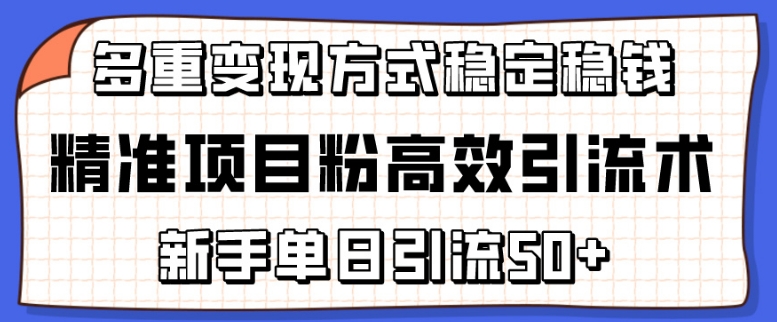 精准项目粉高效引流术，新手单日引流50+，多重变现方式稳定赚钱-飓风网创资源站