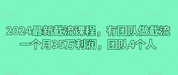 2024最新截流课程，有团队做截流一个月35万利润，团队4个人-飓风网创资源站